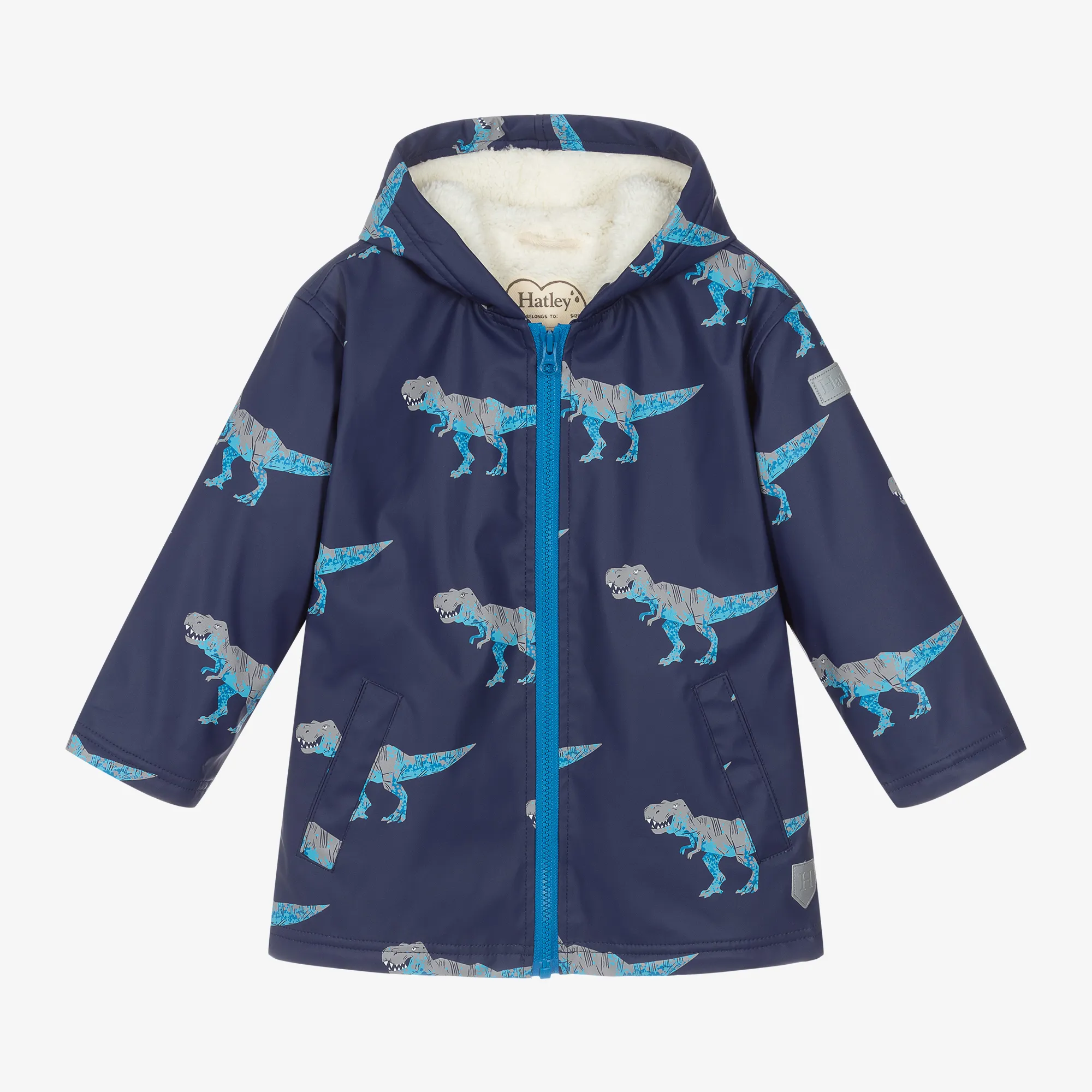 Boys Blue T-Rex Raincoat