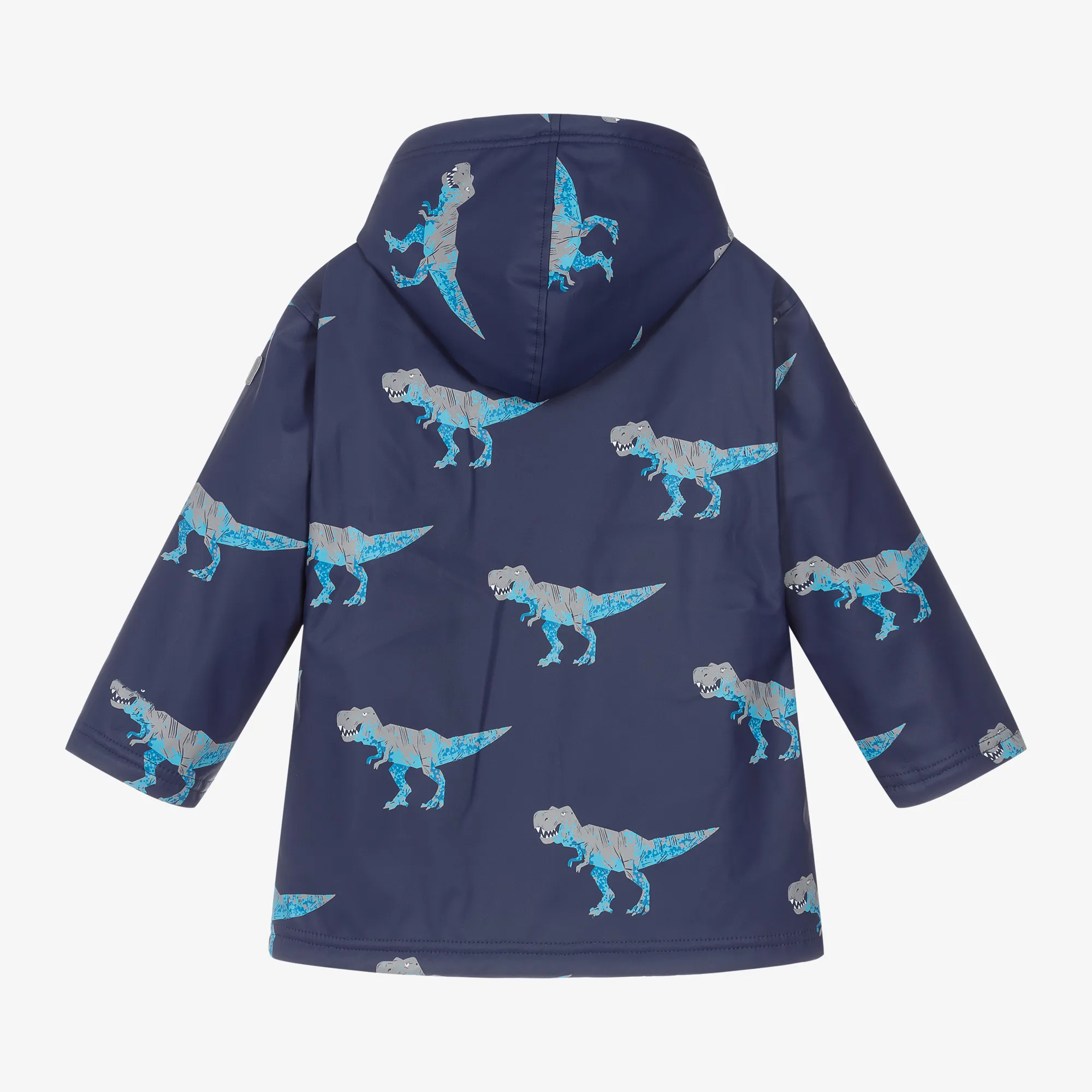 Boys Blue T-Rex Raincoat