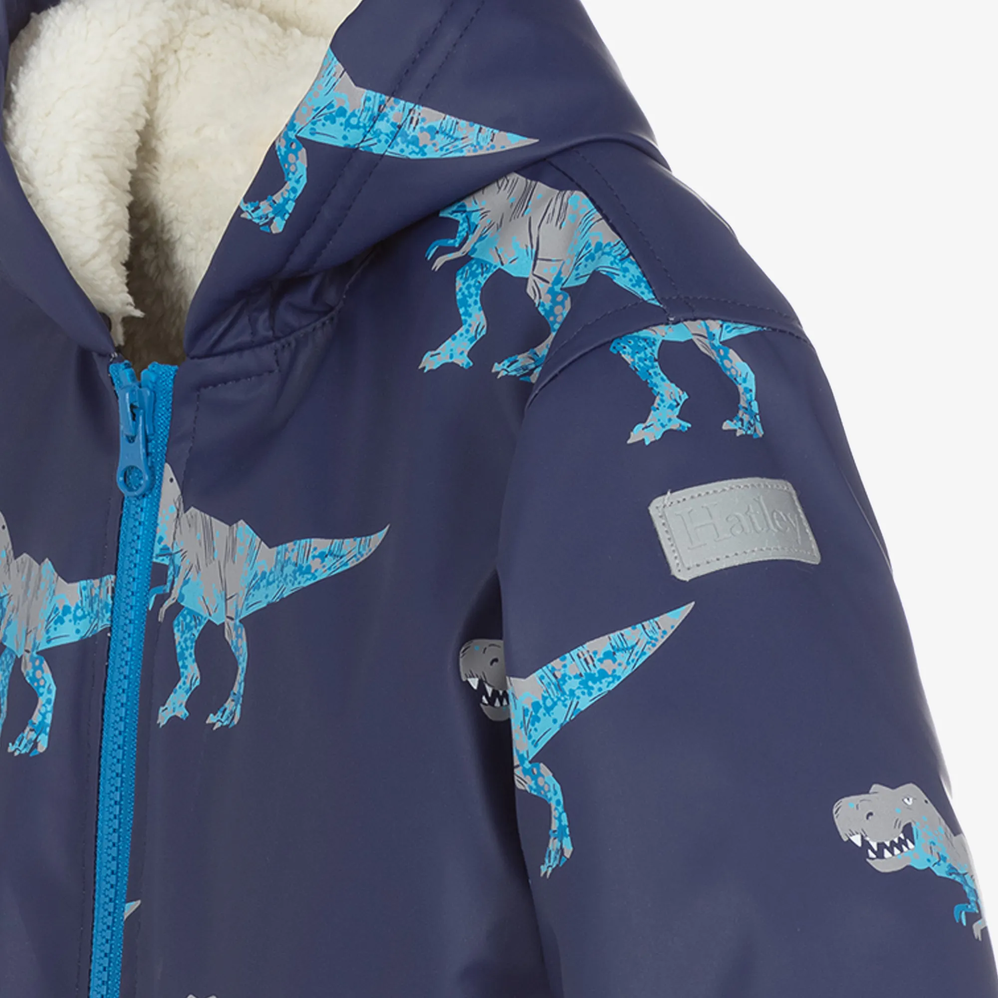 Boys Blue T-Rex Raincoat