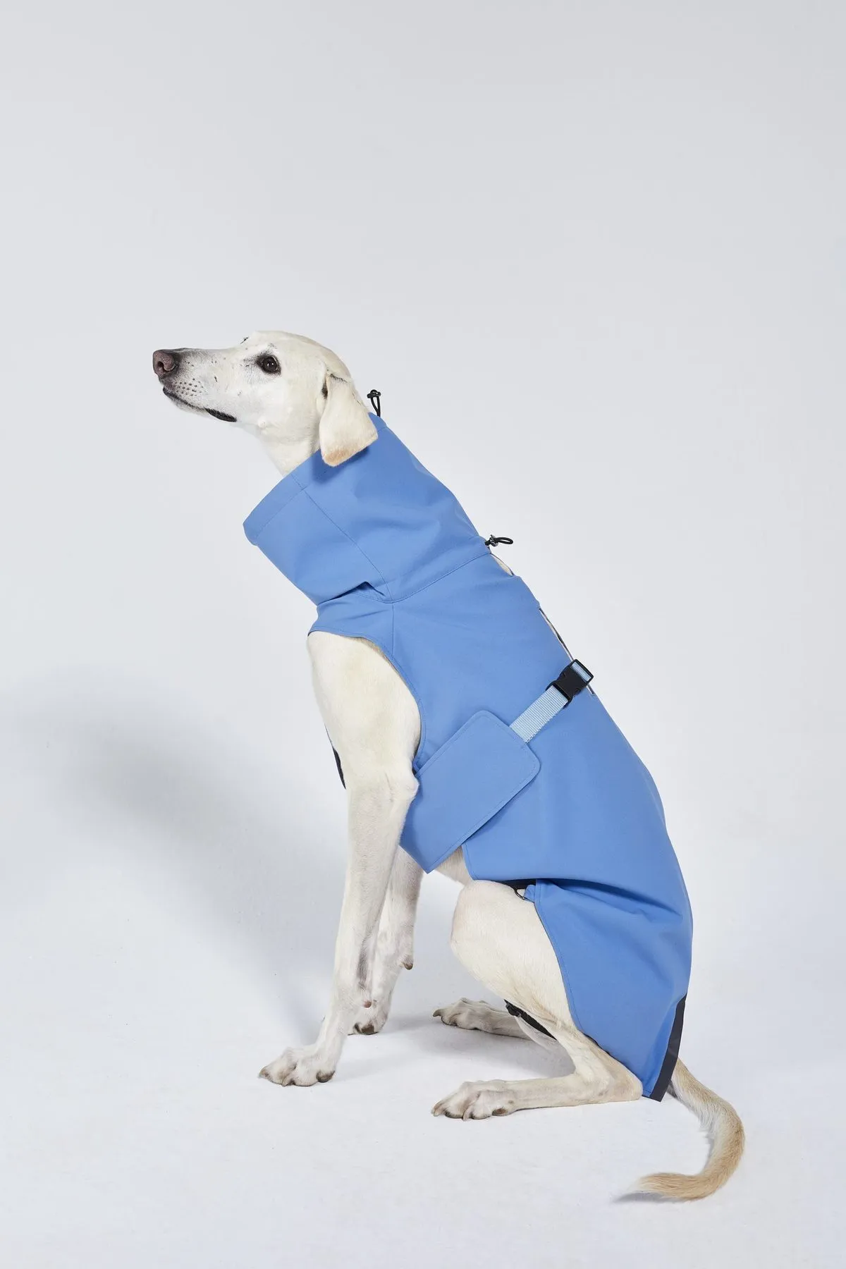 Dog's Raincoat - 