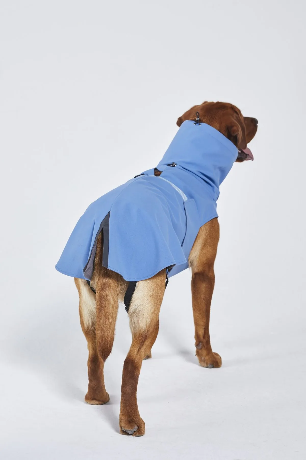 Dog's Raincoat - 