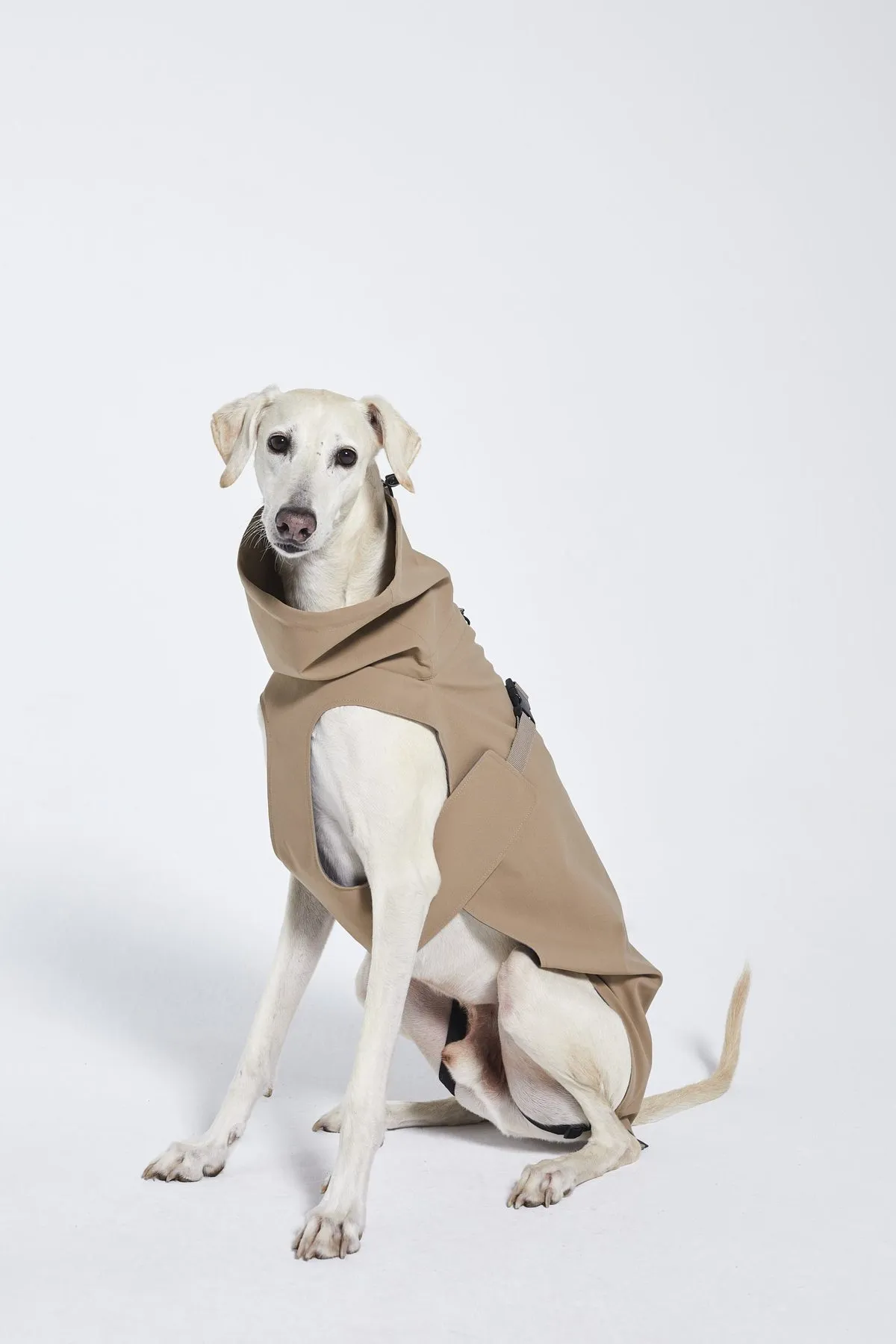 Dog's Raincoat - 