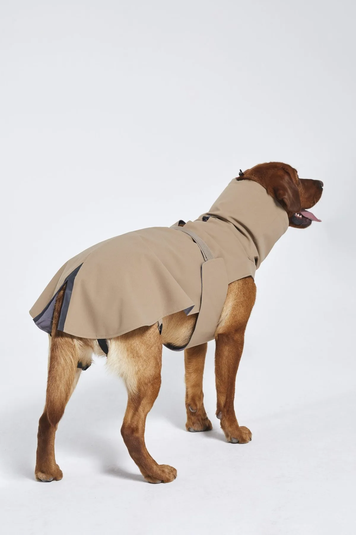 Dog's Raincoat - 