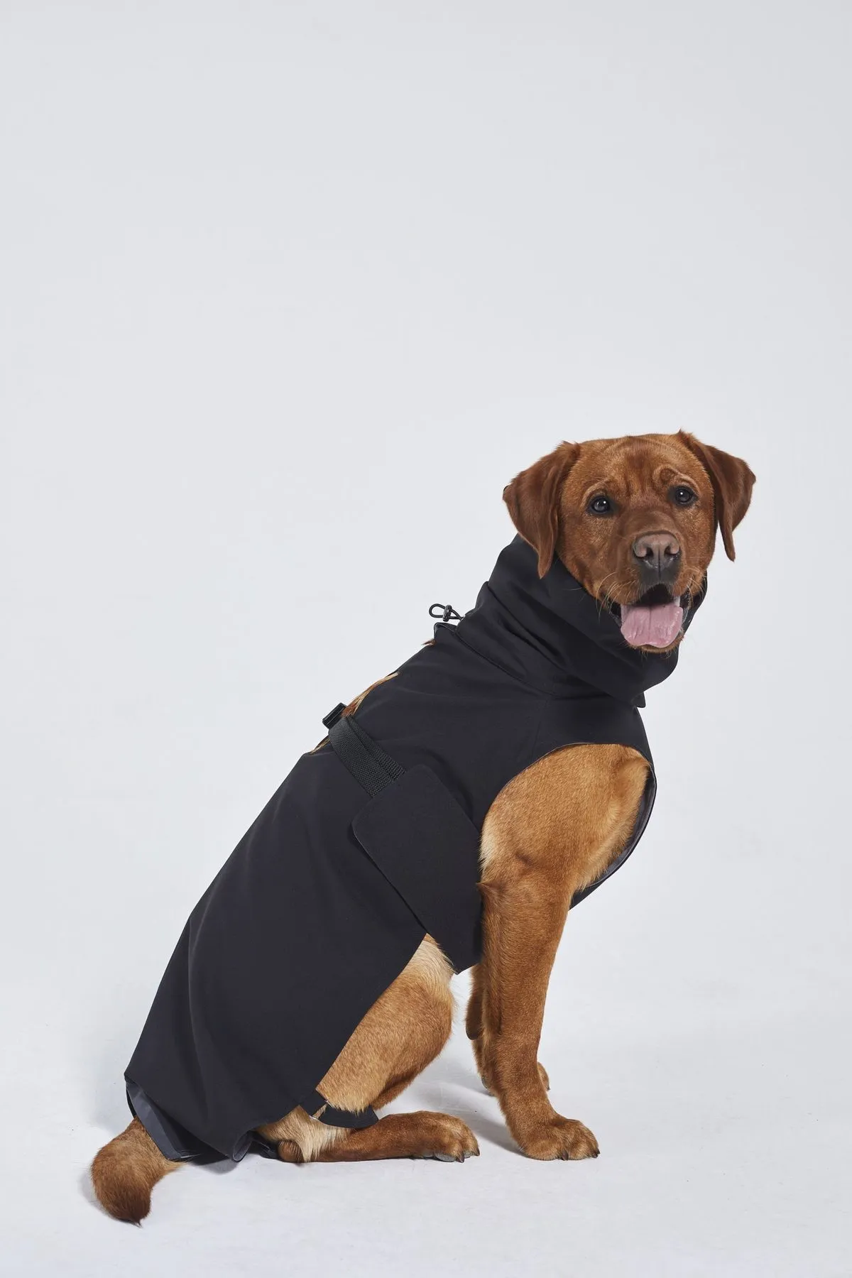 Dog's Raincoat - 