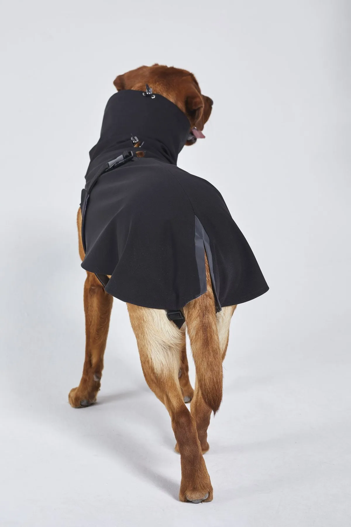 Dog's Raincoat - 